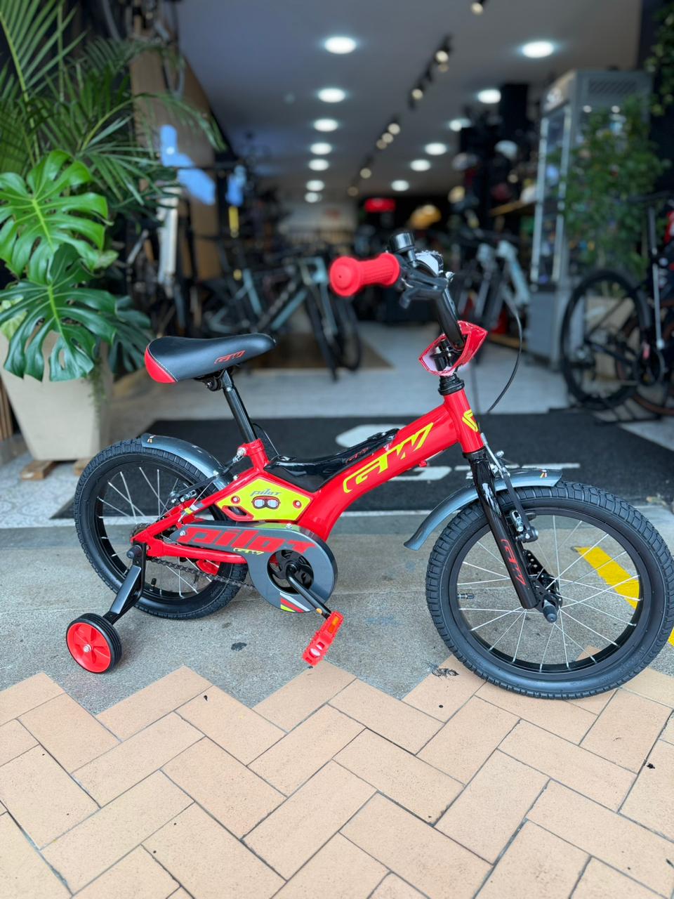 GW 16P PILOT 100 NIÑO