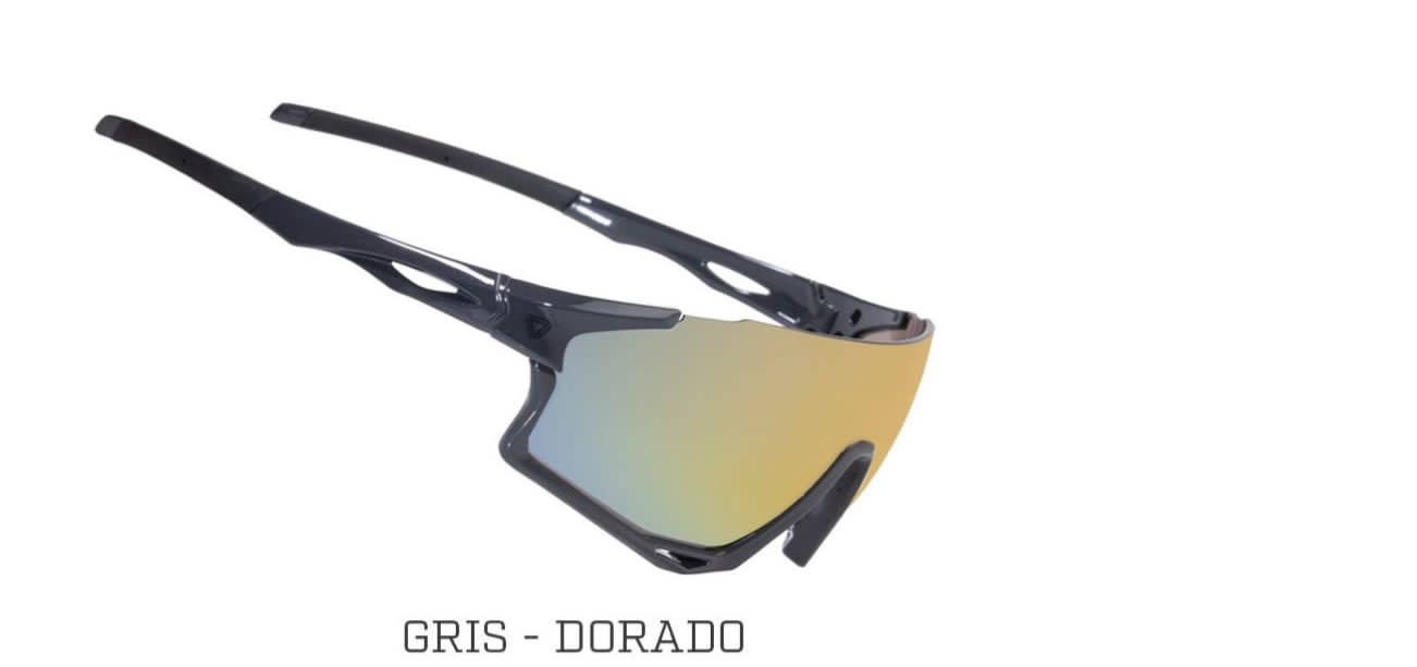 GAFAS CALVERT WG UNISEX