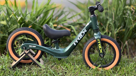 Bicicleta de Impulso ITOOK Magnesio