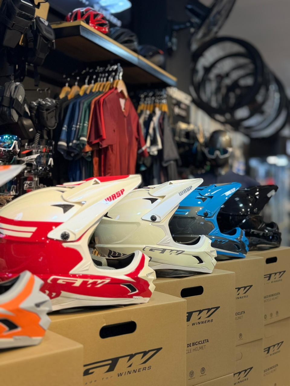 Casco Full Face BMX WASP GW