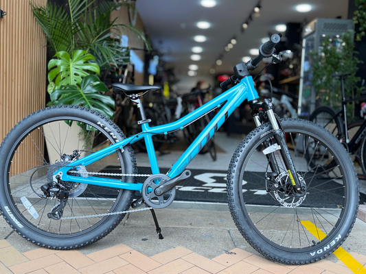 SCOTT SCALE 24 DISC